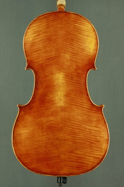 Model 903 905 student cello view 2