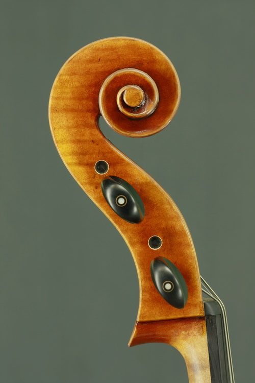 Model 903 905 student cello view 3