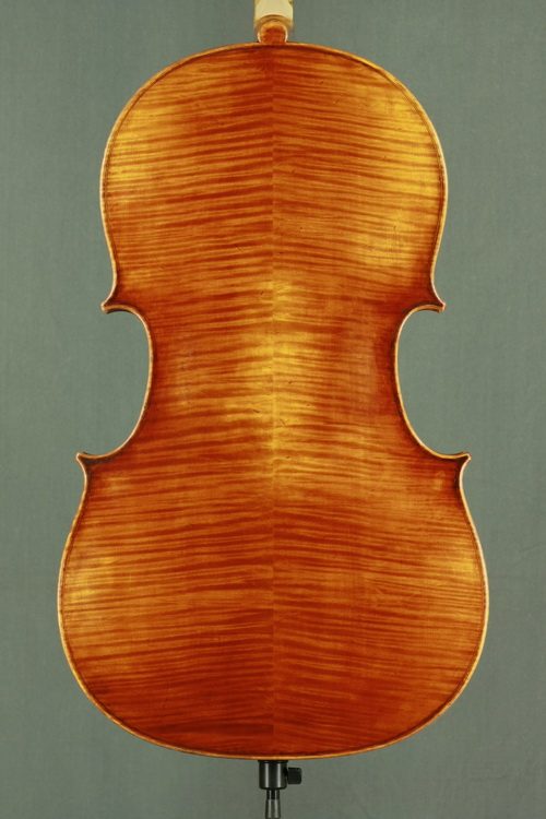 Model 907 intermediate cello view 2