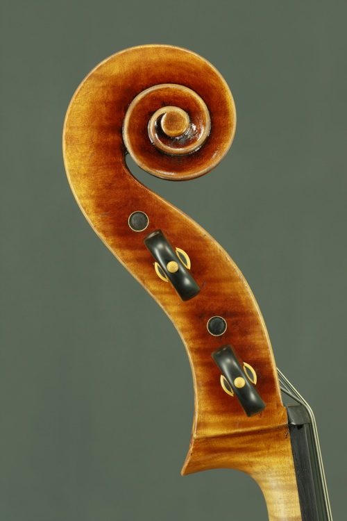 Model 907 intermediate cello view 3