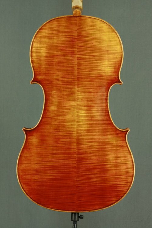 Model 909 advanced cello view 2
