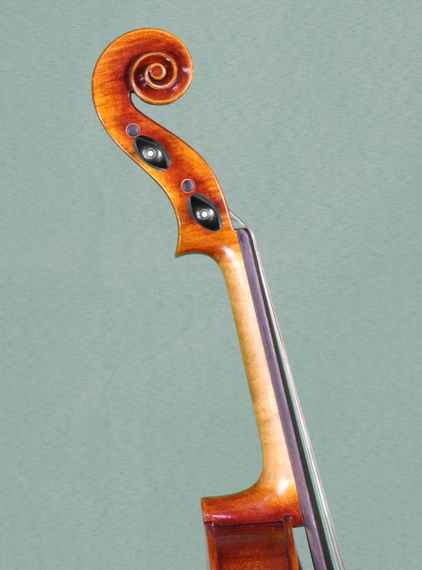 Model 903 student viola view 2