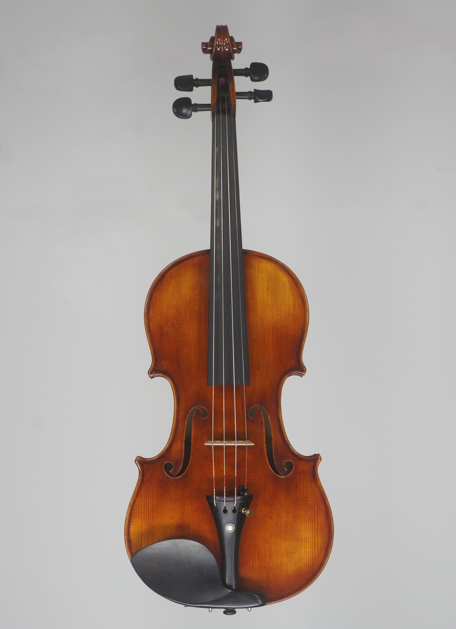 Model 903 student violin view 1