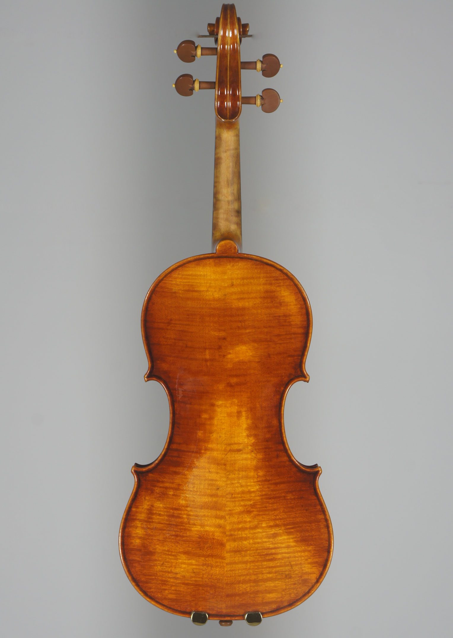 Model 909 intermediate violin view 2
